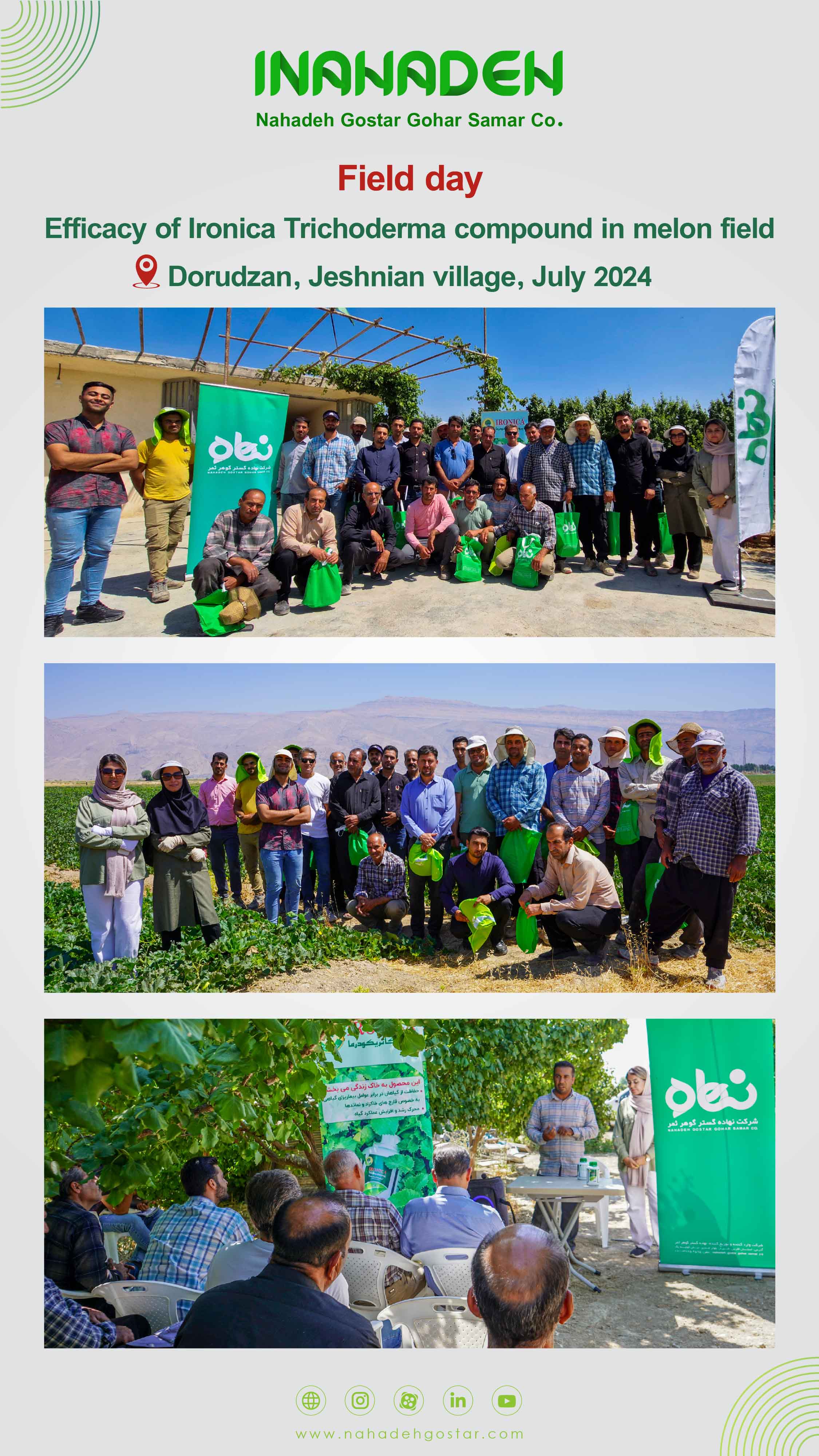 Field Day ,Efficay of Ironica Trichoderma compound in melon field